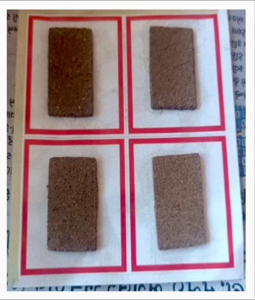 Mobile Chip(मोबाइल चिप)